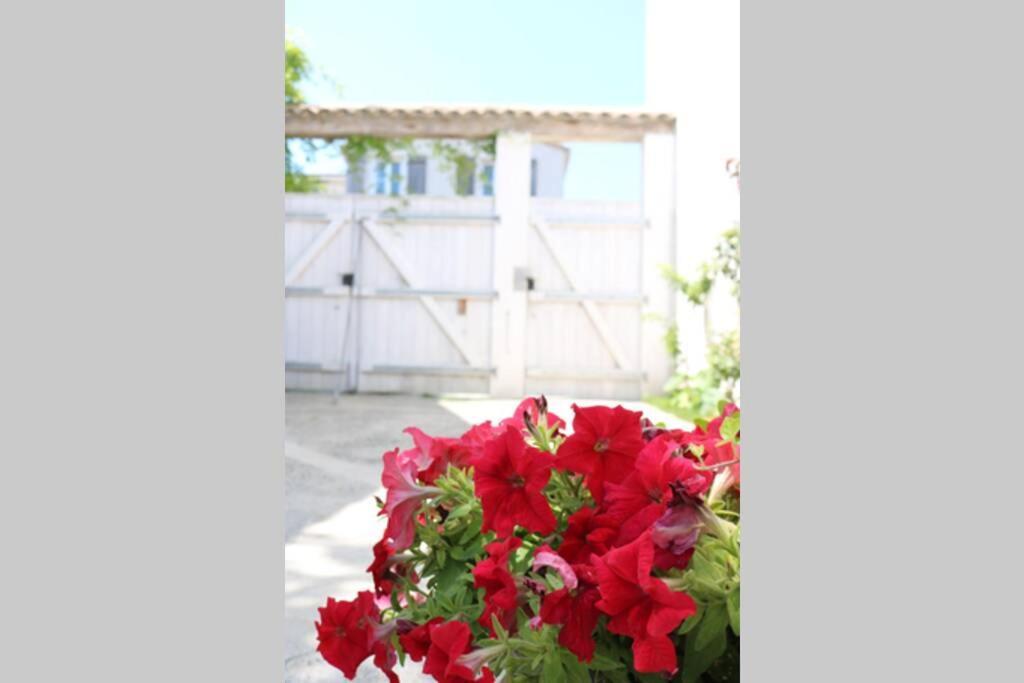 La Virginie - Suite Ile'O La Couarde-sur-Mer Exteriör bild